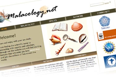 Malacology.net