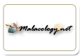 Malacology.net