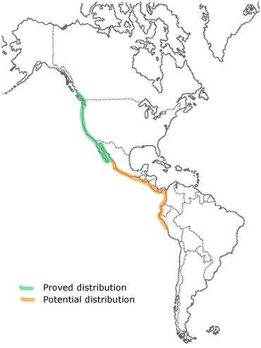 distribution