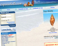 topseashells.com