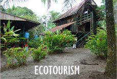 Ecotourism