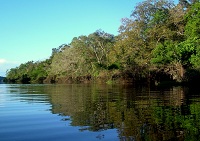 rio Amazonas